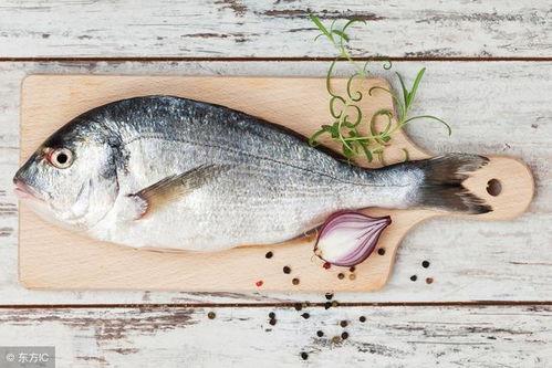 鱼鱼大人吃瓜视频,揭秘娱乐圈幕后故事