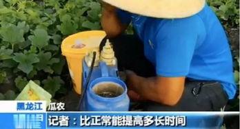 买吃瓜视频犯法吗,法律边界与道德考量