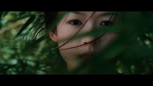 吃瓜视频真可怕免费观看,免费观看背后的惊悚真相