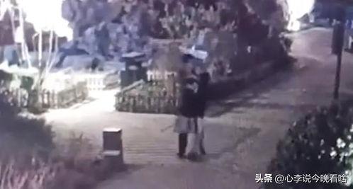 你的渡口独家吃瓜视频,吃瓜视频背后的惊人真相