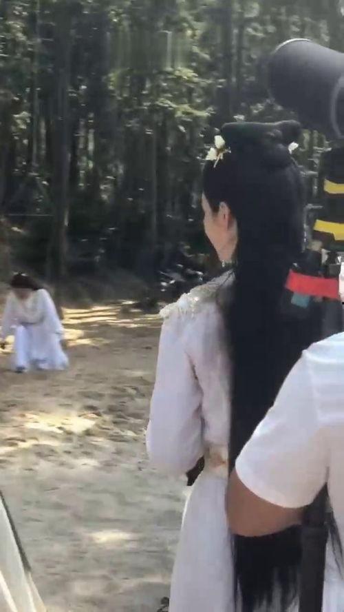 明星偶遇吃瓜群众视频,温馨互动瞬间曝光