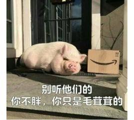 吃瓜少女猪猪解说视频,猪猪吃瓜少女带你领略解说视频魅力