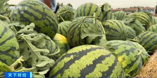 碧口镇吃瓜视频