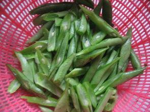 麻瓜能做什么菜吃呢视频,解锁家常菜谱新技能