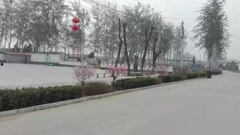 保定徐水吃瓜事件视频,一场网络热议的社区冲突揭秘