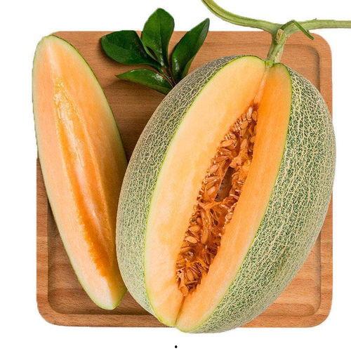 如何吃小蜜瓜最好吃呢视频