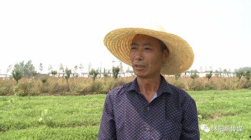 沭阳县吃瓜群众事件视频