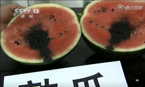 奶砖视频吃瓜,揭秘网红美食背后的真相