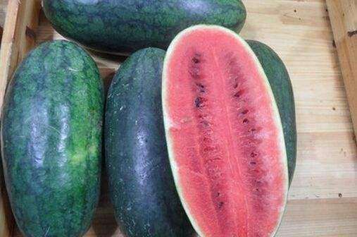 推特网红吃瓜黑料视频在线播放,揭秘网络背后的真实故事”