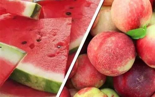 杨孟庄吃桃子瓜视频播放